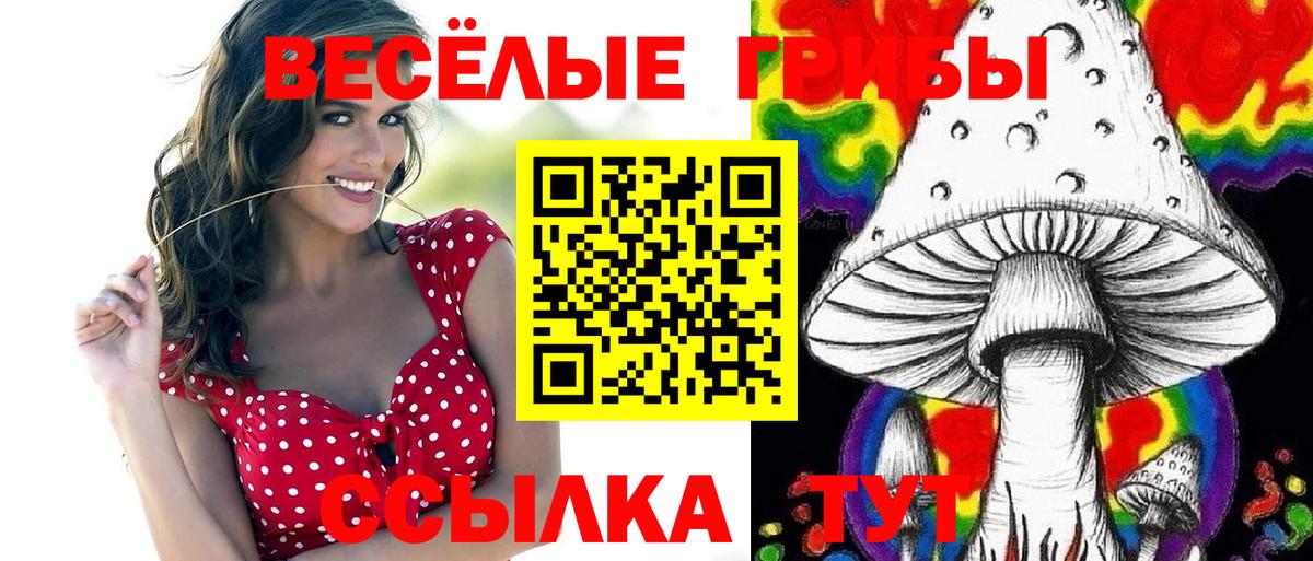 Псилоцибиновые грибы MAGIC MUSHROOMS Сафоново
