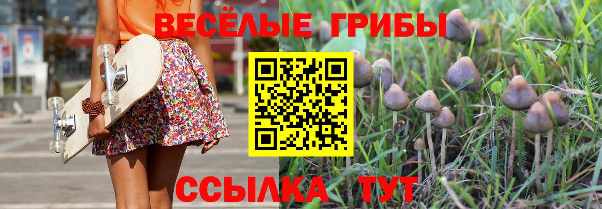 Псилоцибиновые грибы ЛСД  Вход с VPN  Сафоново 